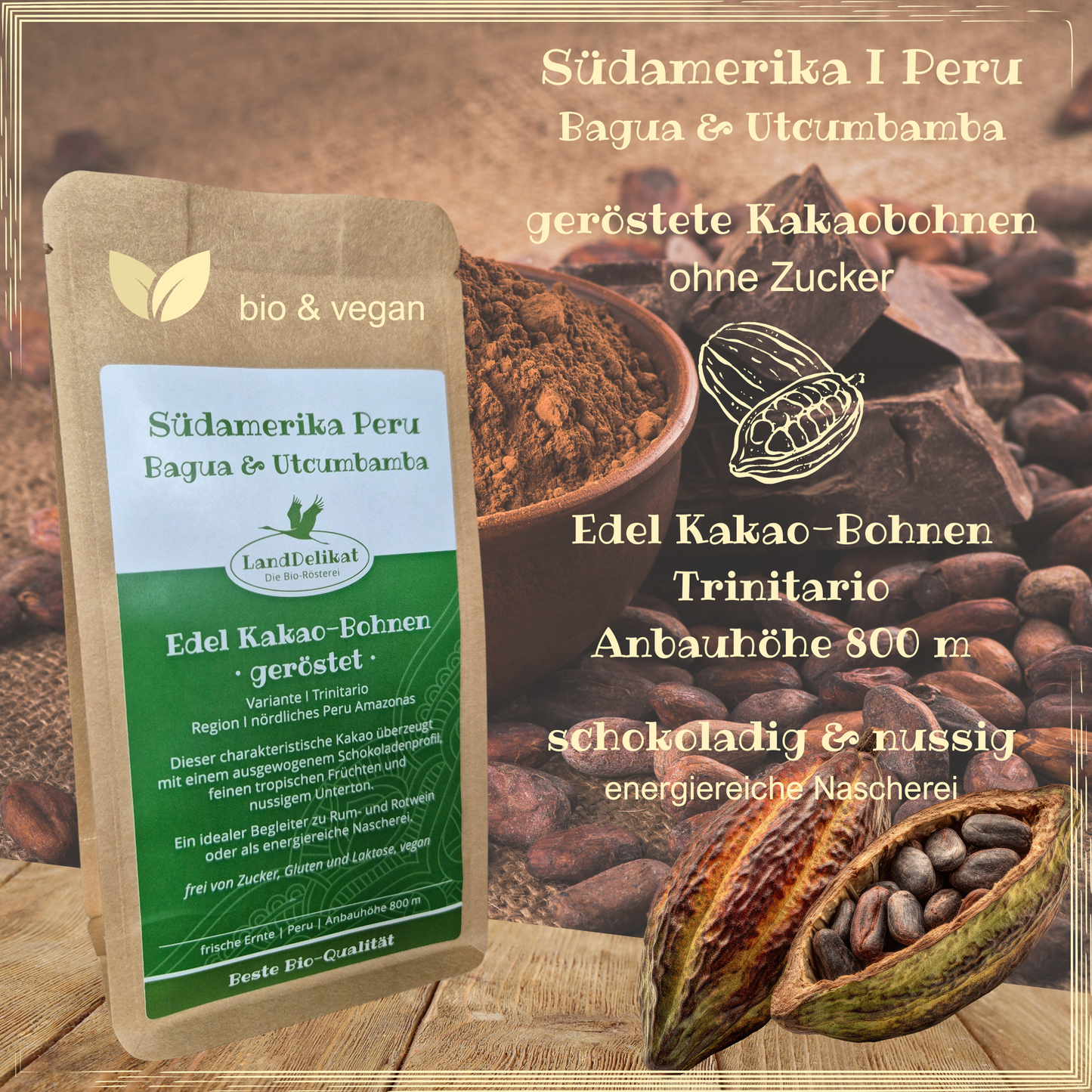roasted cocoa beans