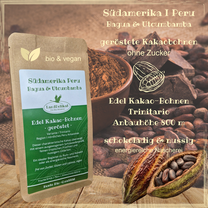 roasted cocoa beans