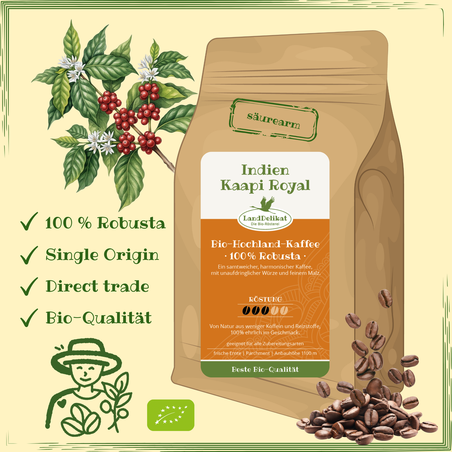 India 100% Robusta