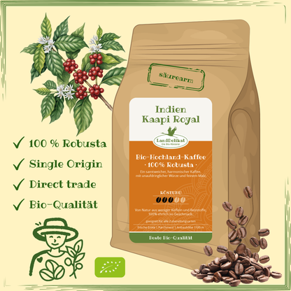 India 100% Robusta