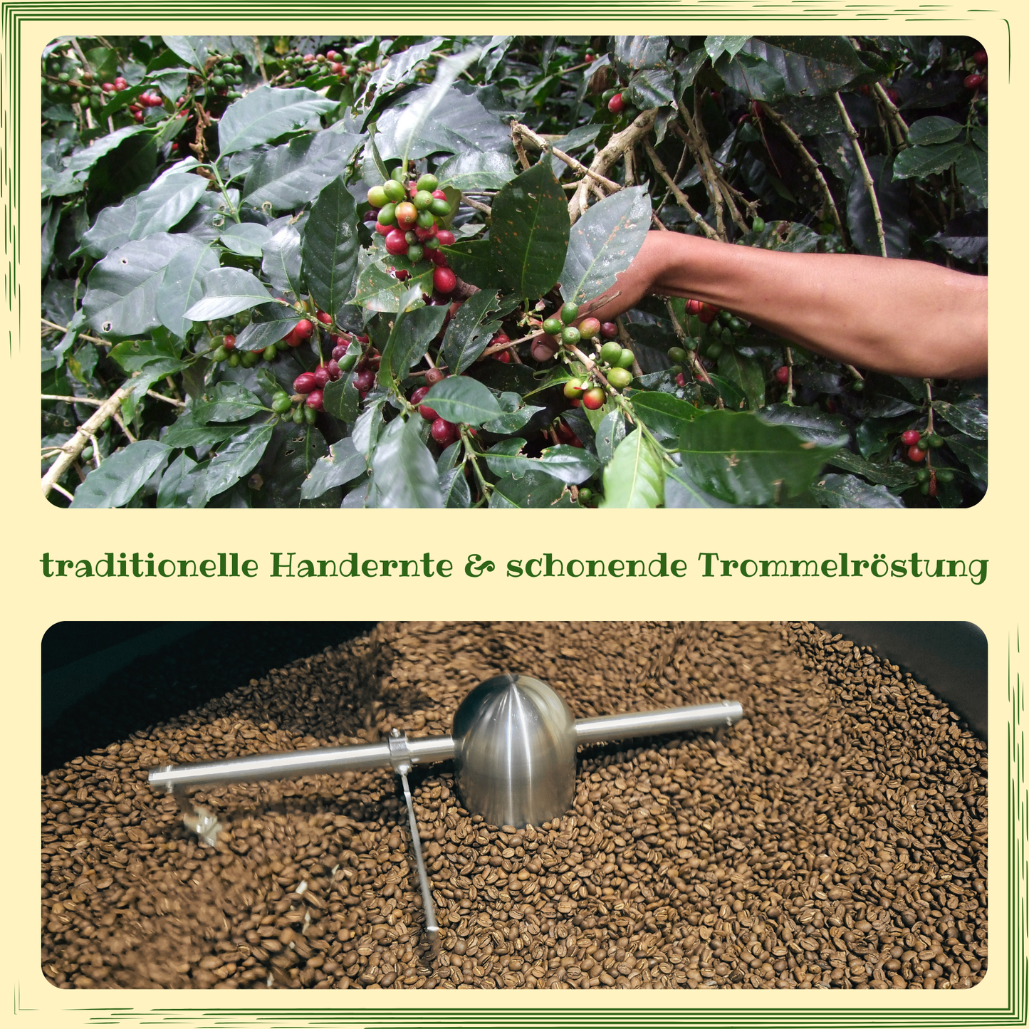 Weihnachts-Gewürz-Kaffee I gemahlen