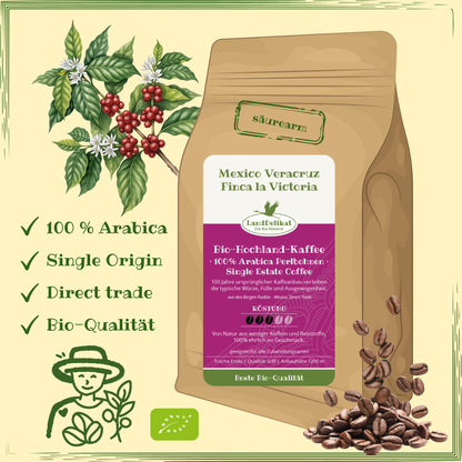 Bio-Hochlandkaffee I Mexico Perlbohne 100 % Arabica I ungemahlen